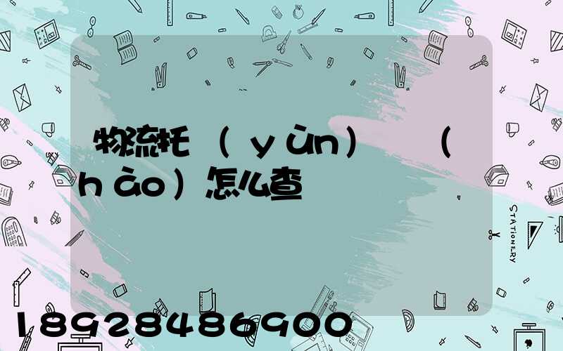 物流托運(yùn)單號(hào)怎么查詢