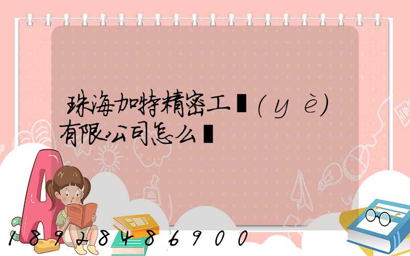 珠海加特精密工業(yè)有限公司怎么樣