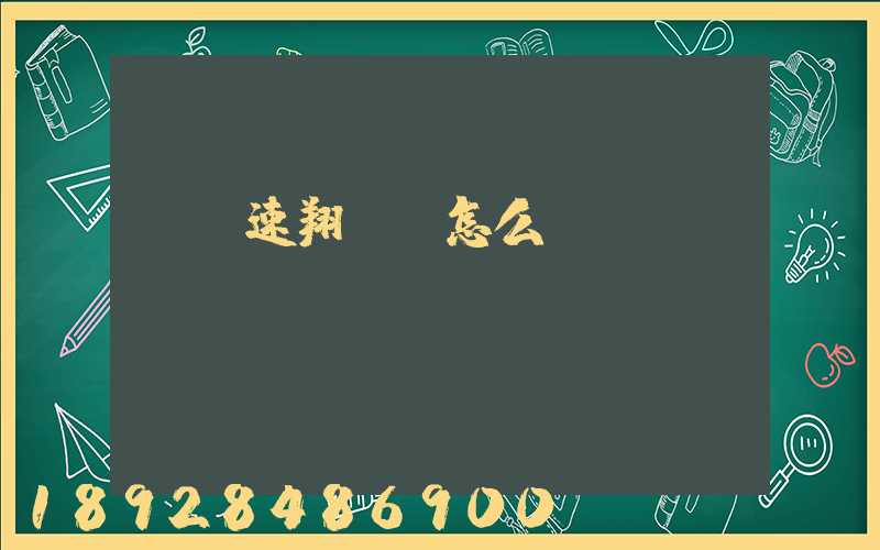 紹興速翔車隊怎么樣