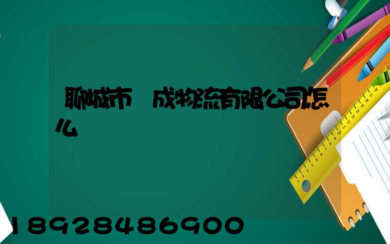 聊城市龍成物流有限公司怎么樣