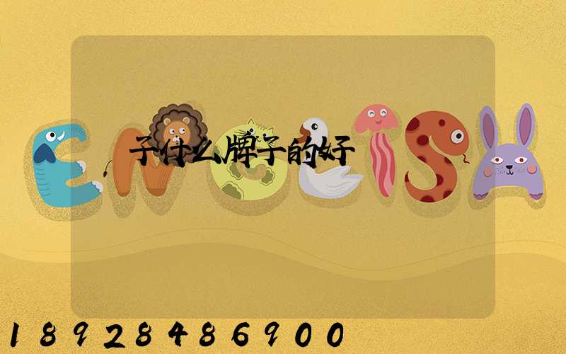 膩子什么牌子的好