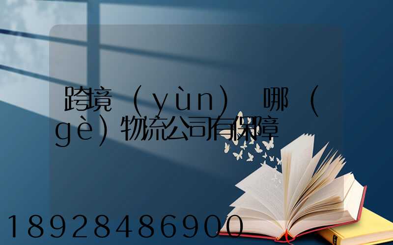 跨境運(yùn)輸哪個(gè)物流公司有保障