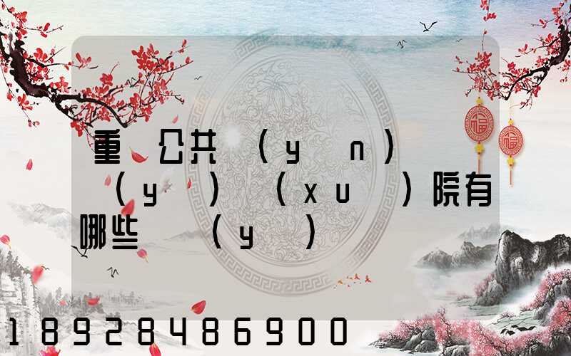 重慶公共運(yùn)輸職業(yè)學(xué)院有哪些專業(yè)