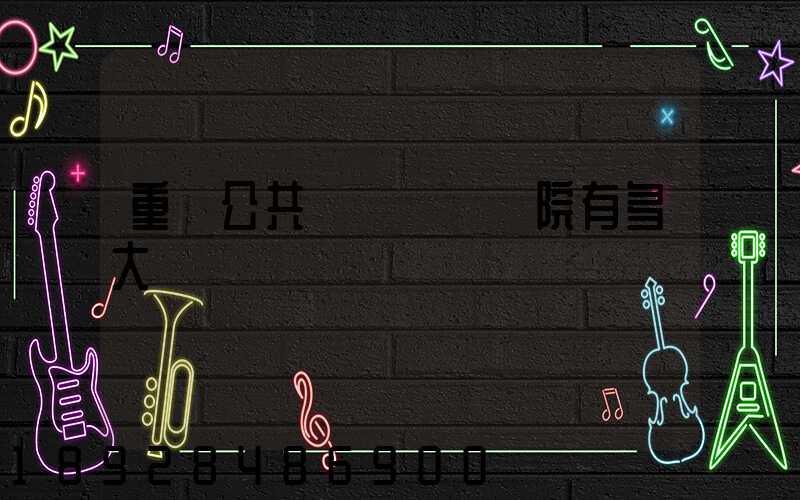 重慶公共運輸職業學院有多大