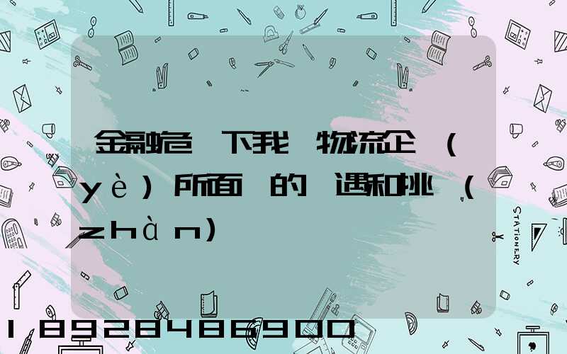 金融危機下我國物流企業(yè)所面對的機遇和挑戰(zhàn)