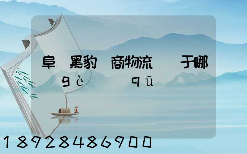 阜陽黑豹電商物流園屬于哪個(gè)區(qū)