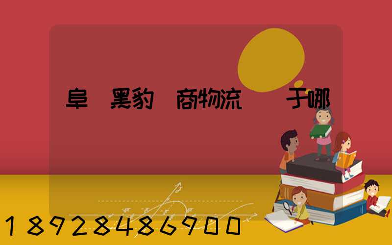 阜陽黑豹電商物流園屬于哪個區