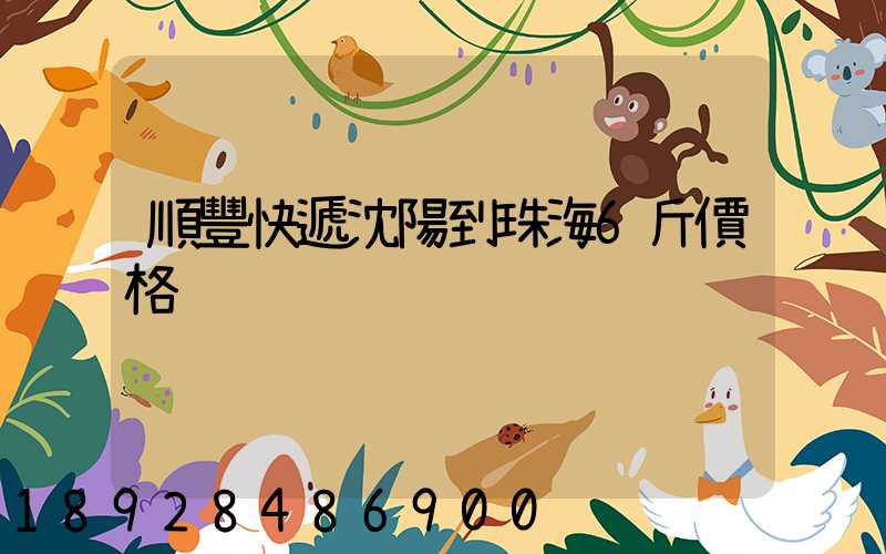 順豐快遞沈陽到珠海6斤價格